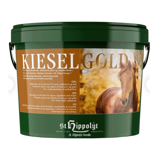 Hippolyt Kiesel Gold 4Kg