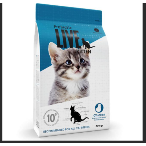 LIVE Kitten Kylling