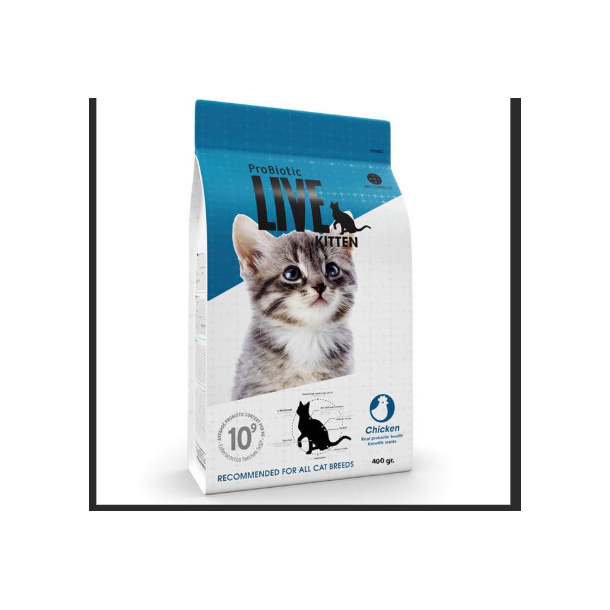LIVE Kitten Kylling