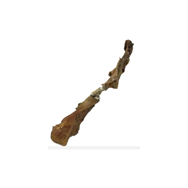 Oksepandelap 60-70Cm